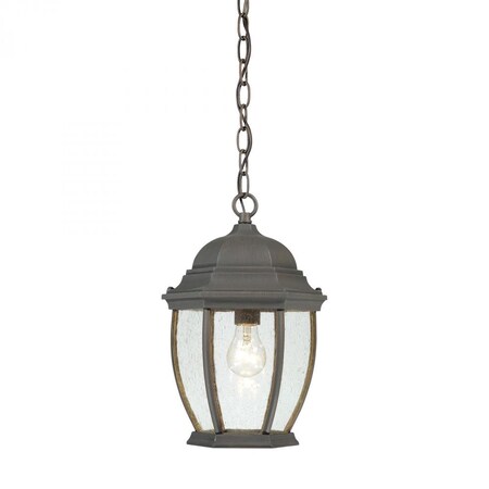 Thomas Covington 1-Light Pendant Lantern in Painted Bronze SL923363